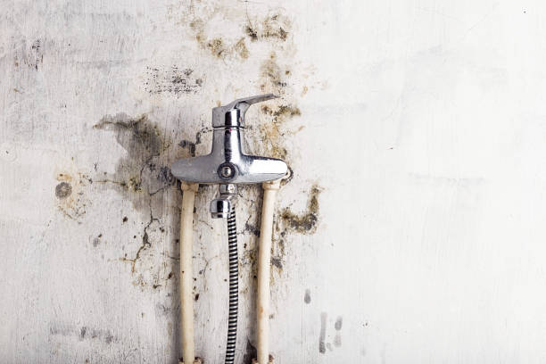 Independence, WI Mold Remediation Company